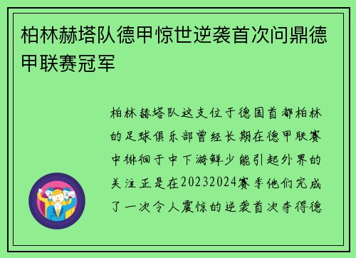 柏林赫塔队德甲惊世逆袭首次问鼎德甲联赛冠军
